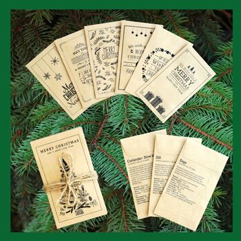 Christmas Seed Bundle - Herbs