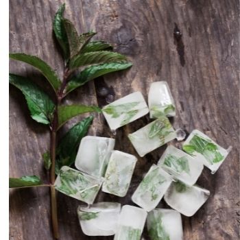 How to Make Herbal Ice Cubes to Preserve Your Fresh Herb Harvest