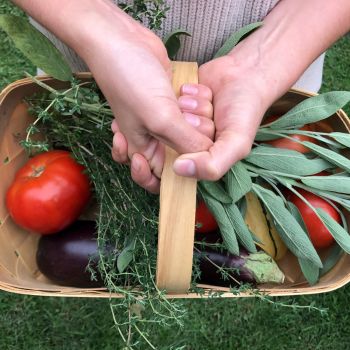 A Beginner's Guide to an Incredible, Edible Kitchen Garden