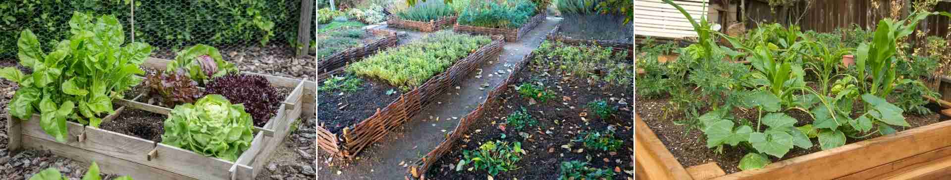 The Pros and Cons of a Raised Garden Bed