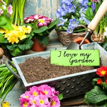 Garden Tips- April 2020