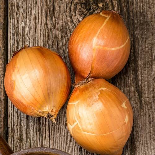 Onion- Pukekohe Long Keeper