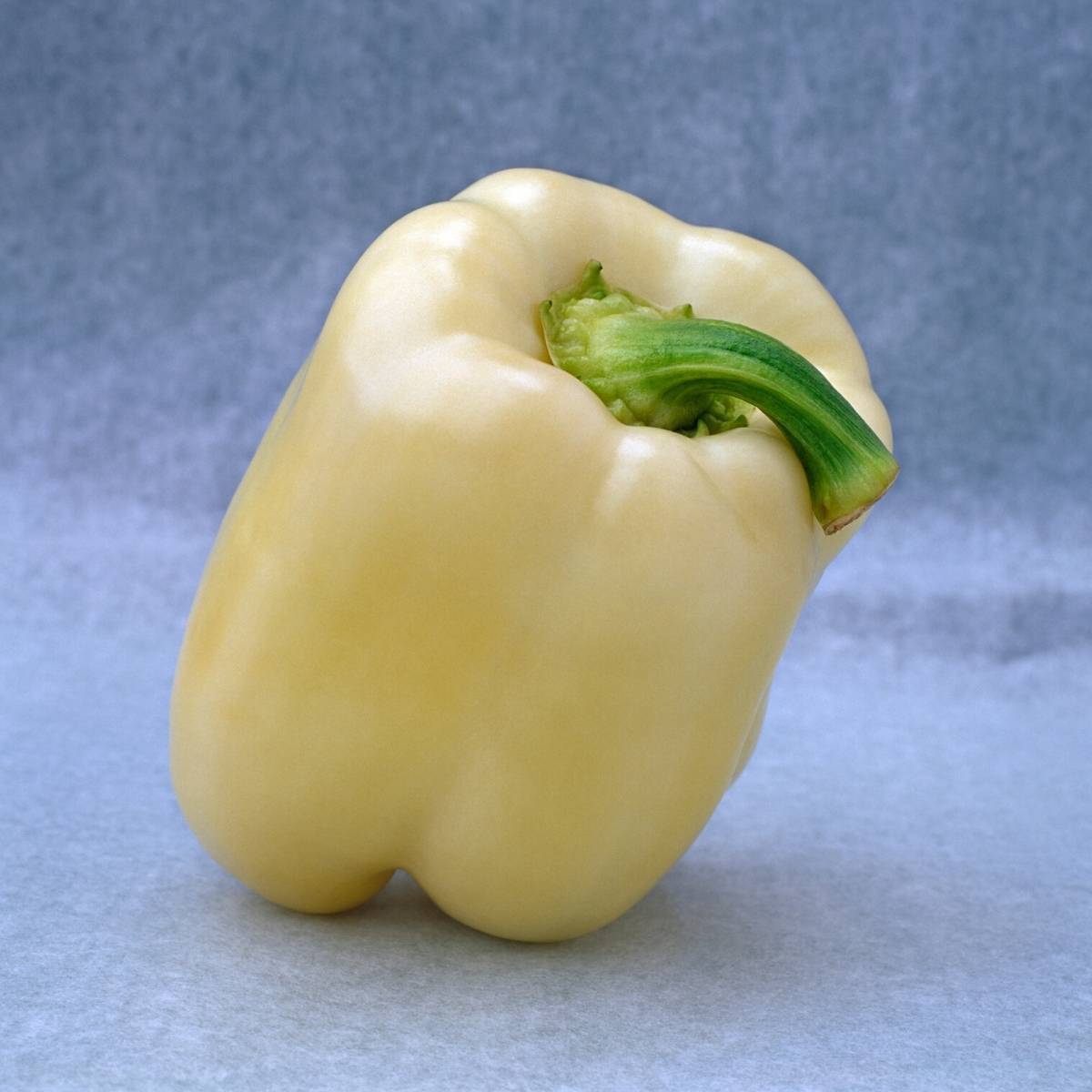 Diamond Bell Pepper  John Scheepers Kitchen Garden Seeds