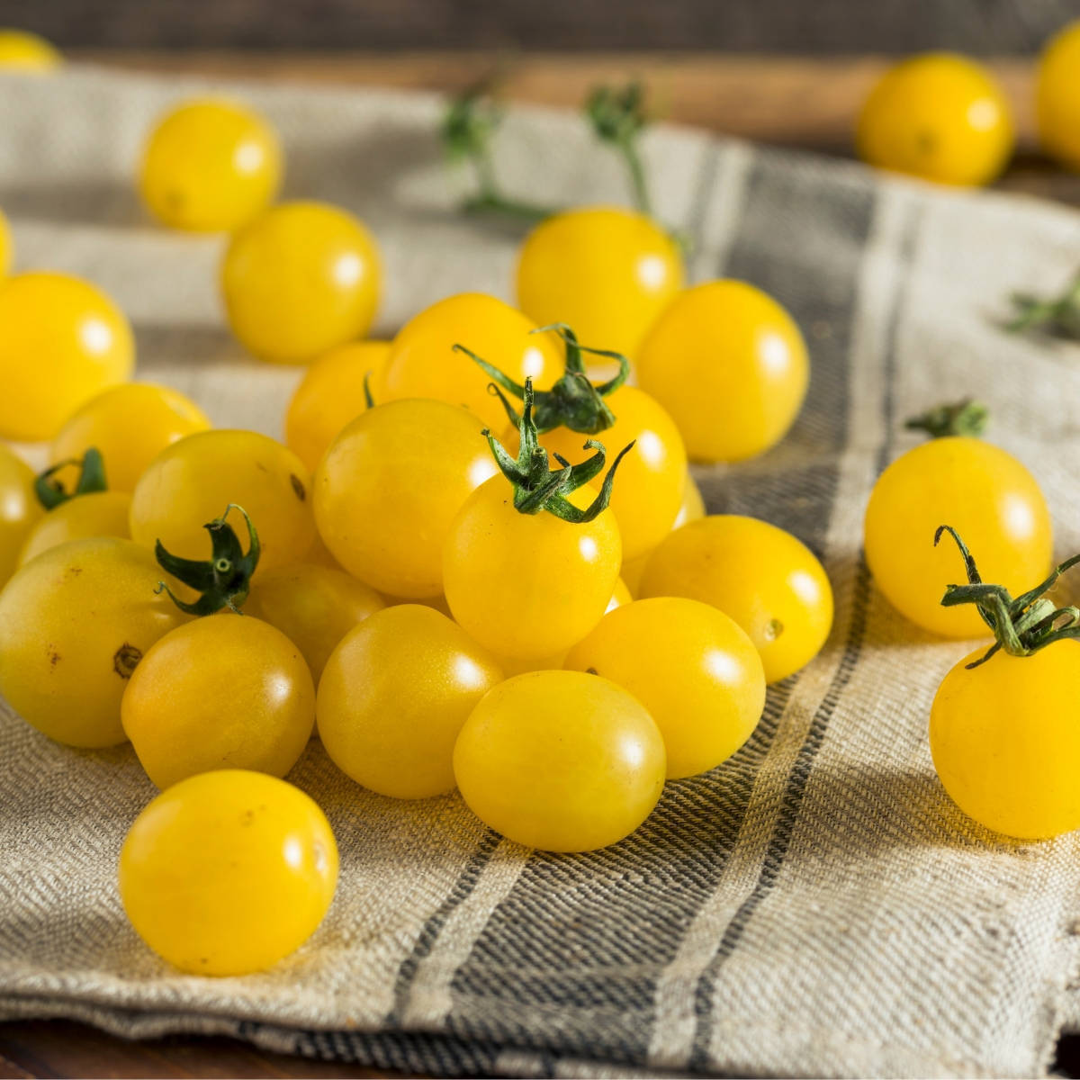 COMB S/H Yellow Candy Cherry Tomato The sweetest cherry tomato 20 SEEDS 