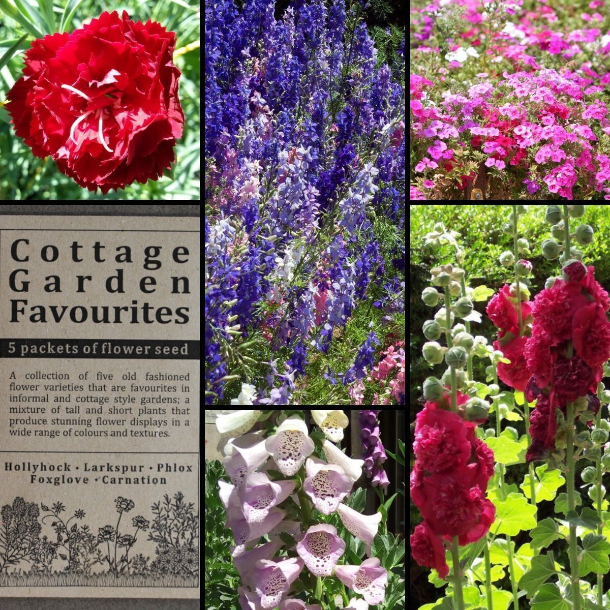Cottage Garden Favourites Seed Collection The Seed Collection