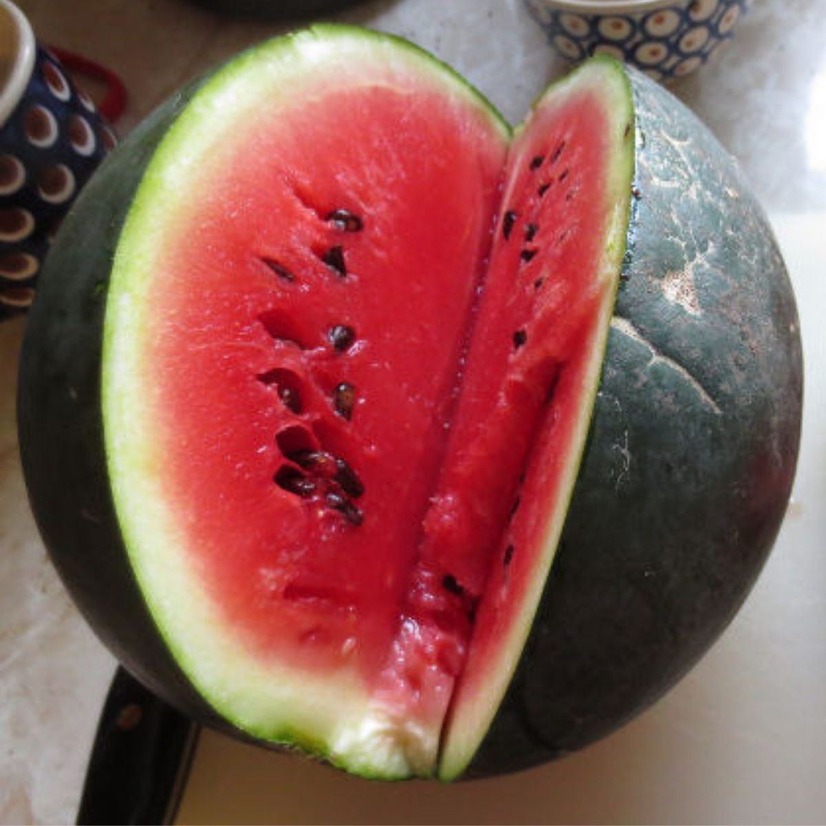 Sugar Baby watermelon