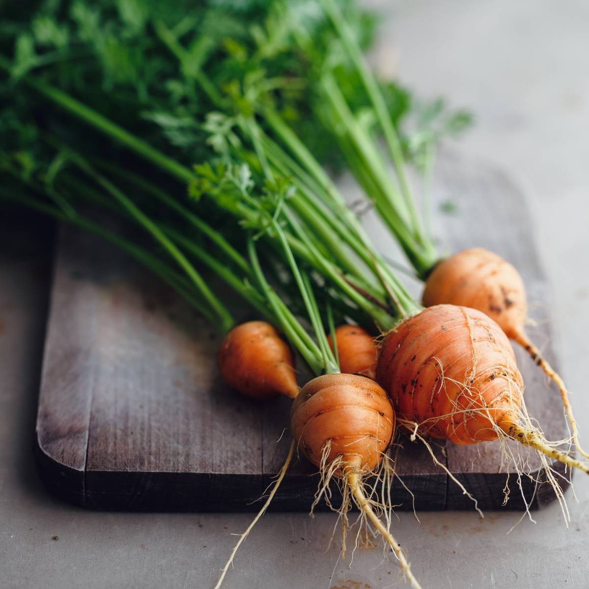 Vegetable Carrot Paris Market Appx 1500 seeds 