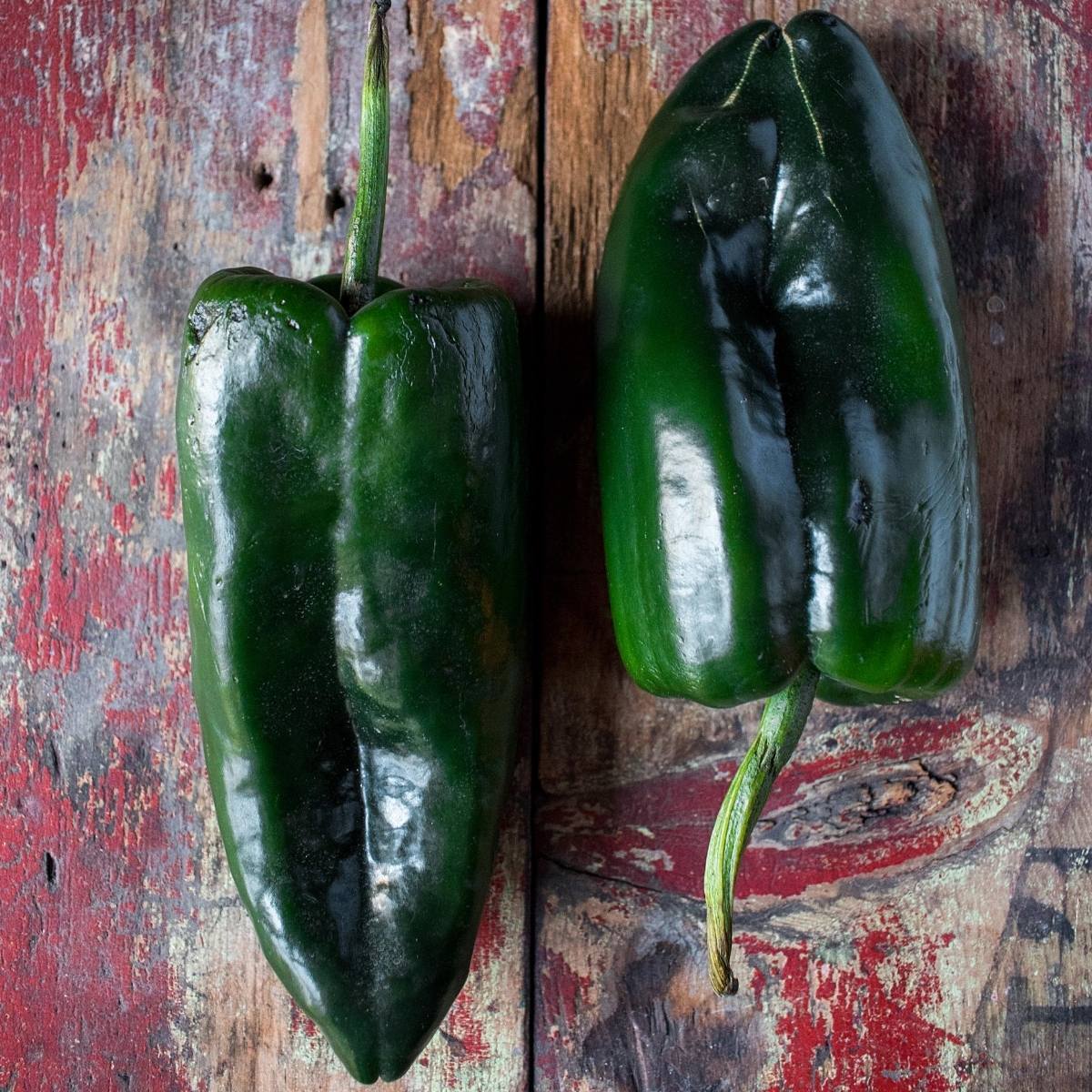 Pepper Hot Mulato Isleno Great Garden Heirloom Vegetable 25 Seeds
