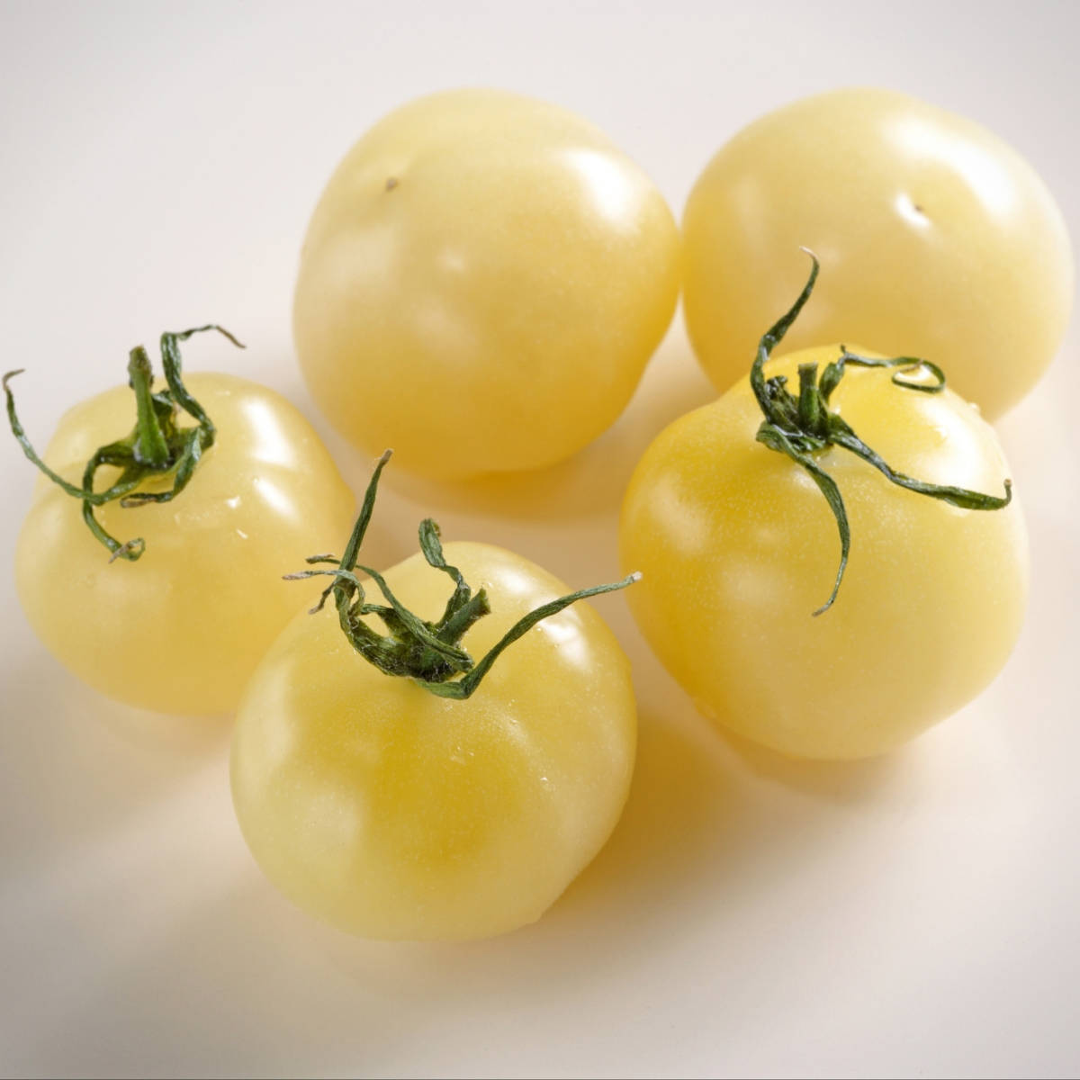 Russian Heirloom Vegetable-Rare 15 Tomato Seeds WHITE CHERRY- Belaya Vishnya