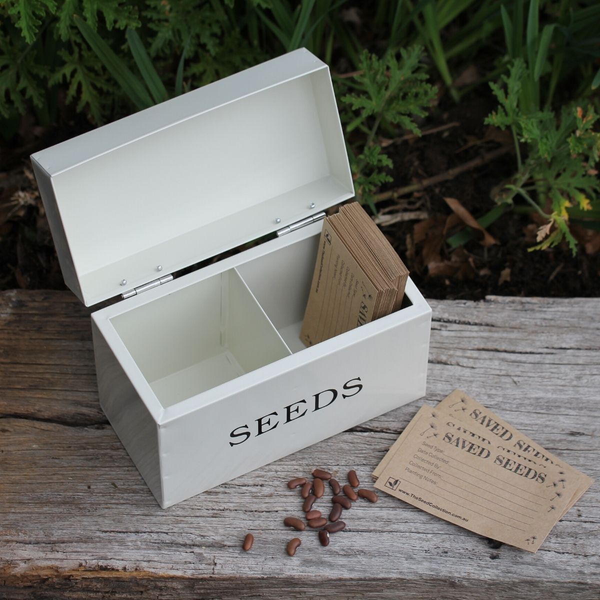 Seed Storage Tin