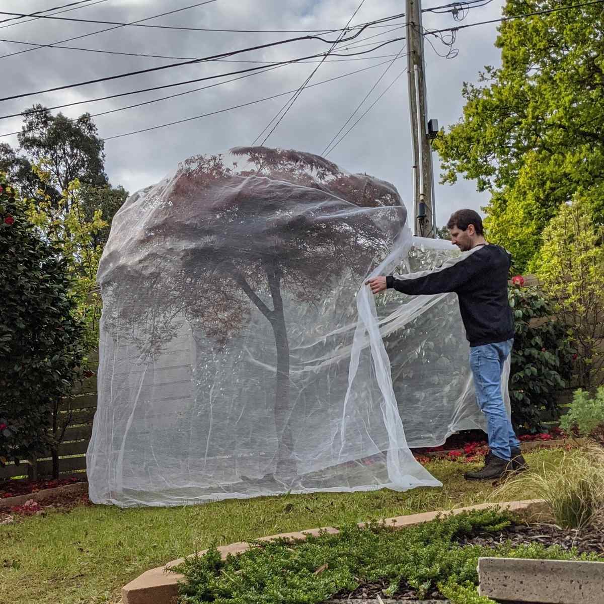 Fitted Insect Exclusion Net- 2.4m square