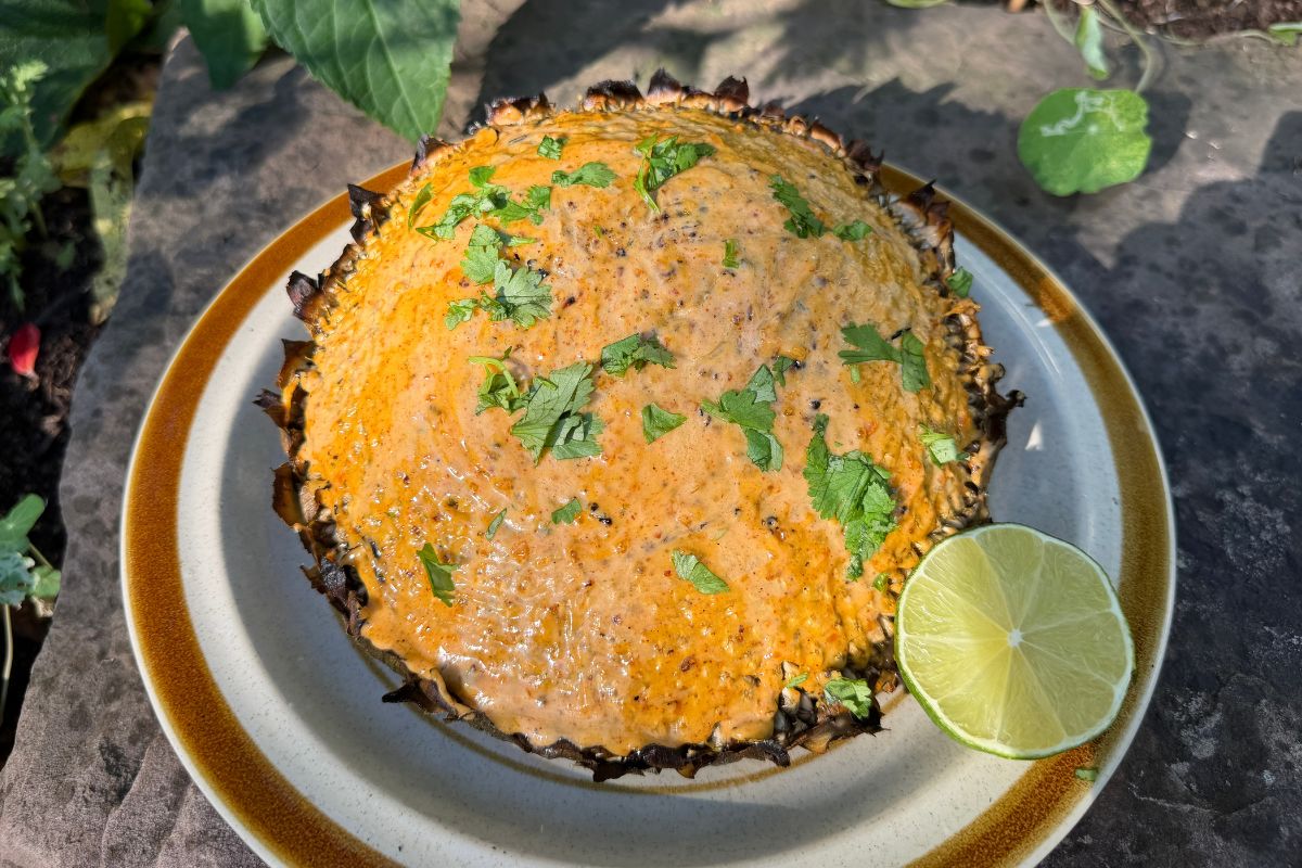 mexican inspired grilled sunflower