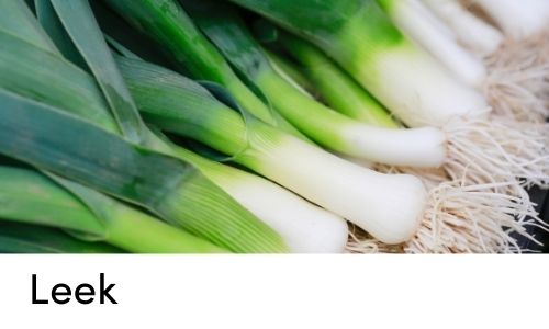 leek