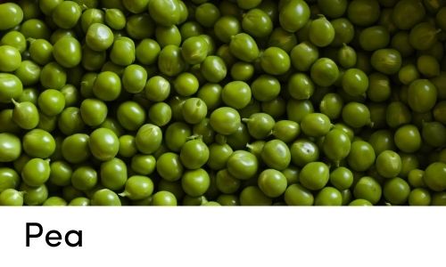 pea