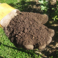 Garden Soil