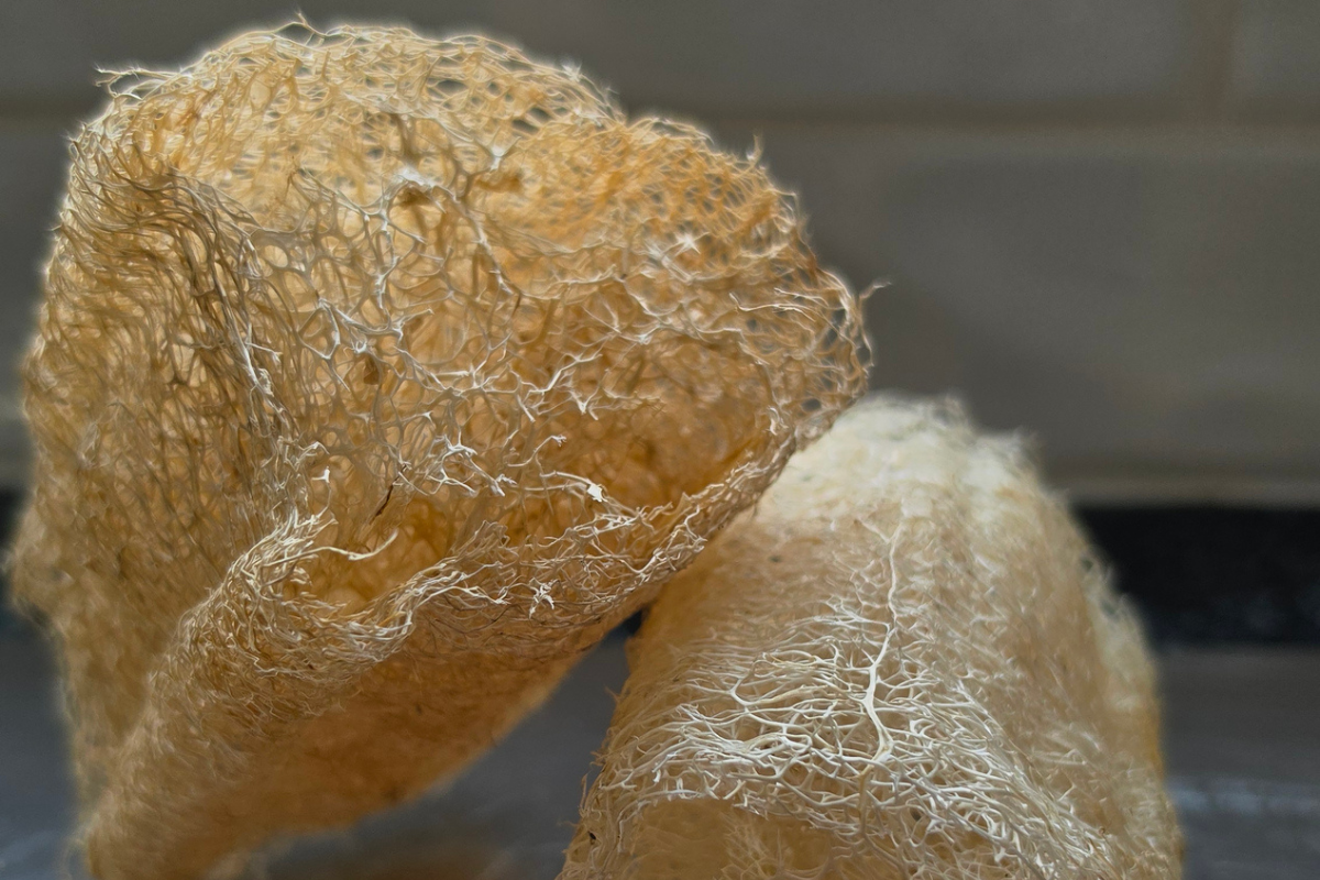 Luffa Sponge Ready To Use