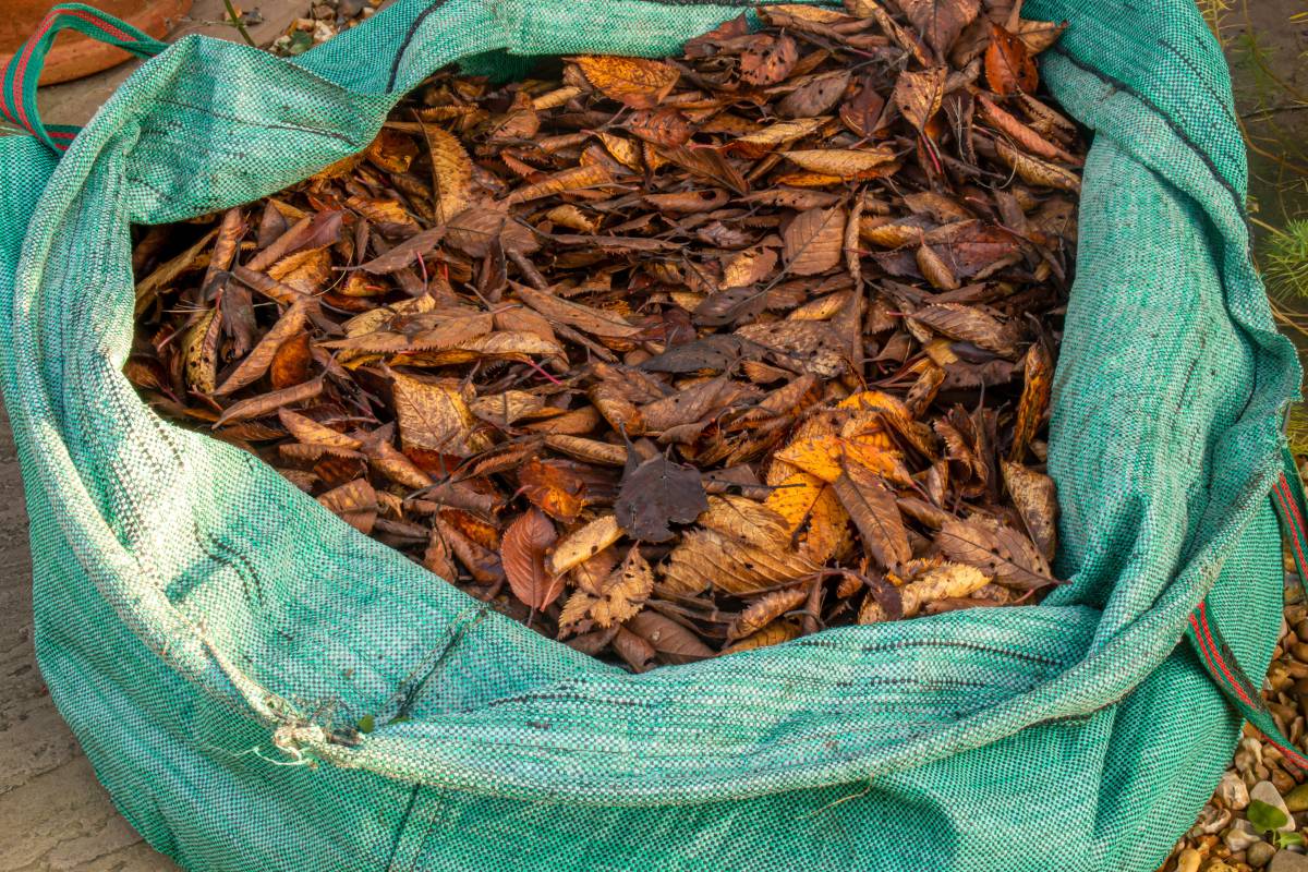 A green hessian bag full of autumn leaves