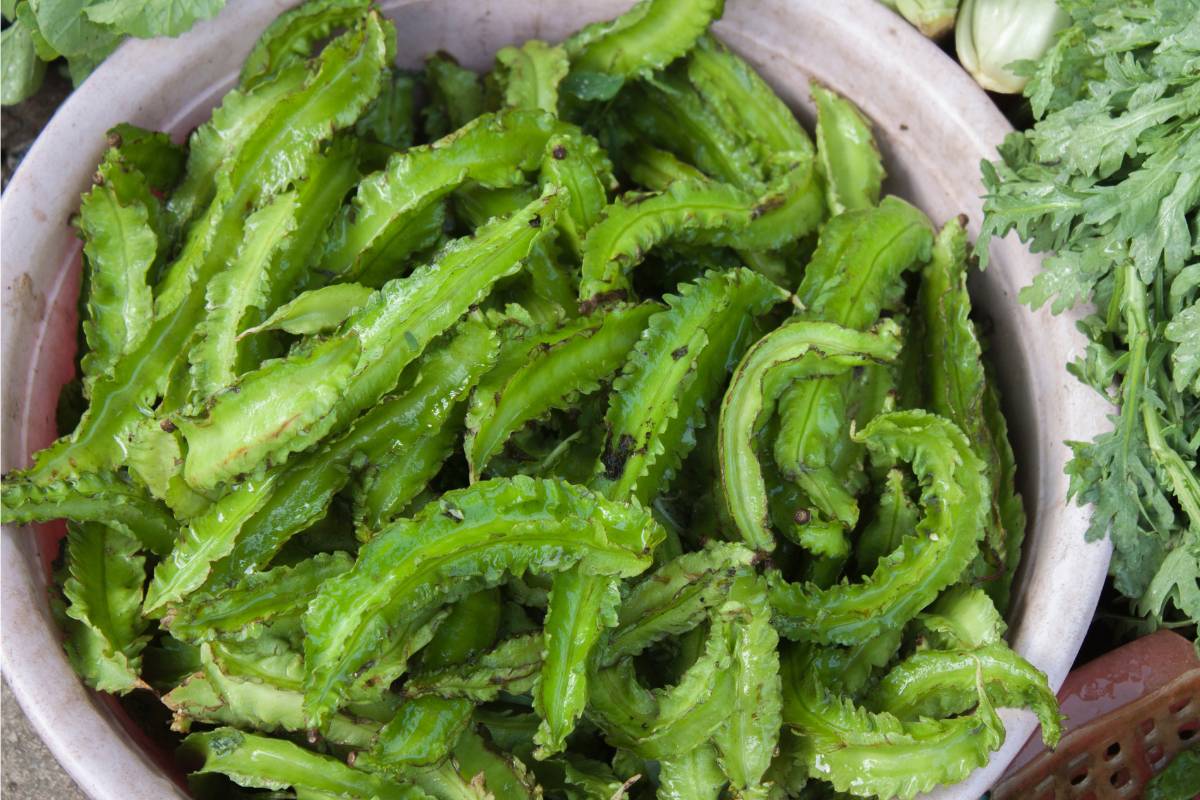 A bowl full of winged beans in a vegetable garden bed