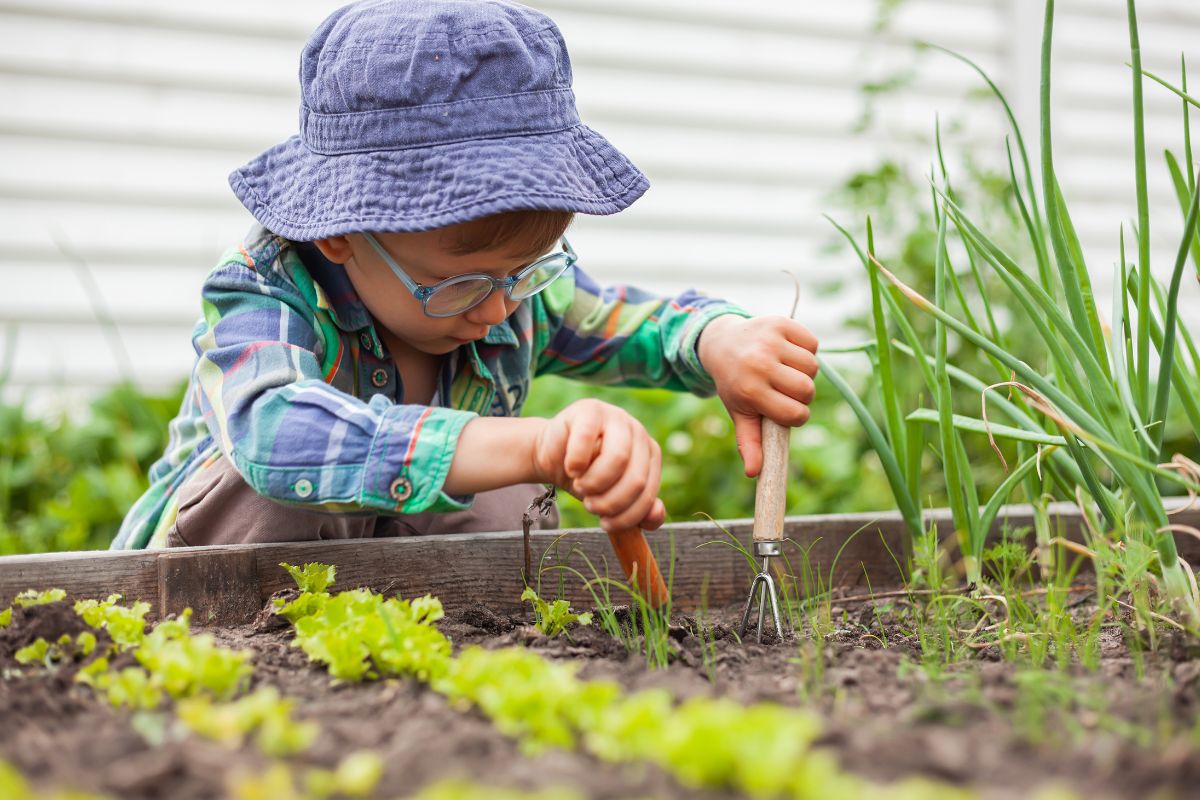 A child gardening in a raised vegetable bed
