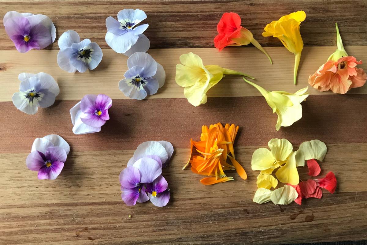 A colourful collection of violas and nasturtiums spread out on a wooden board