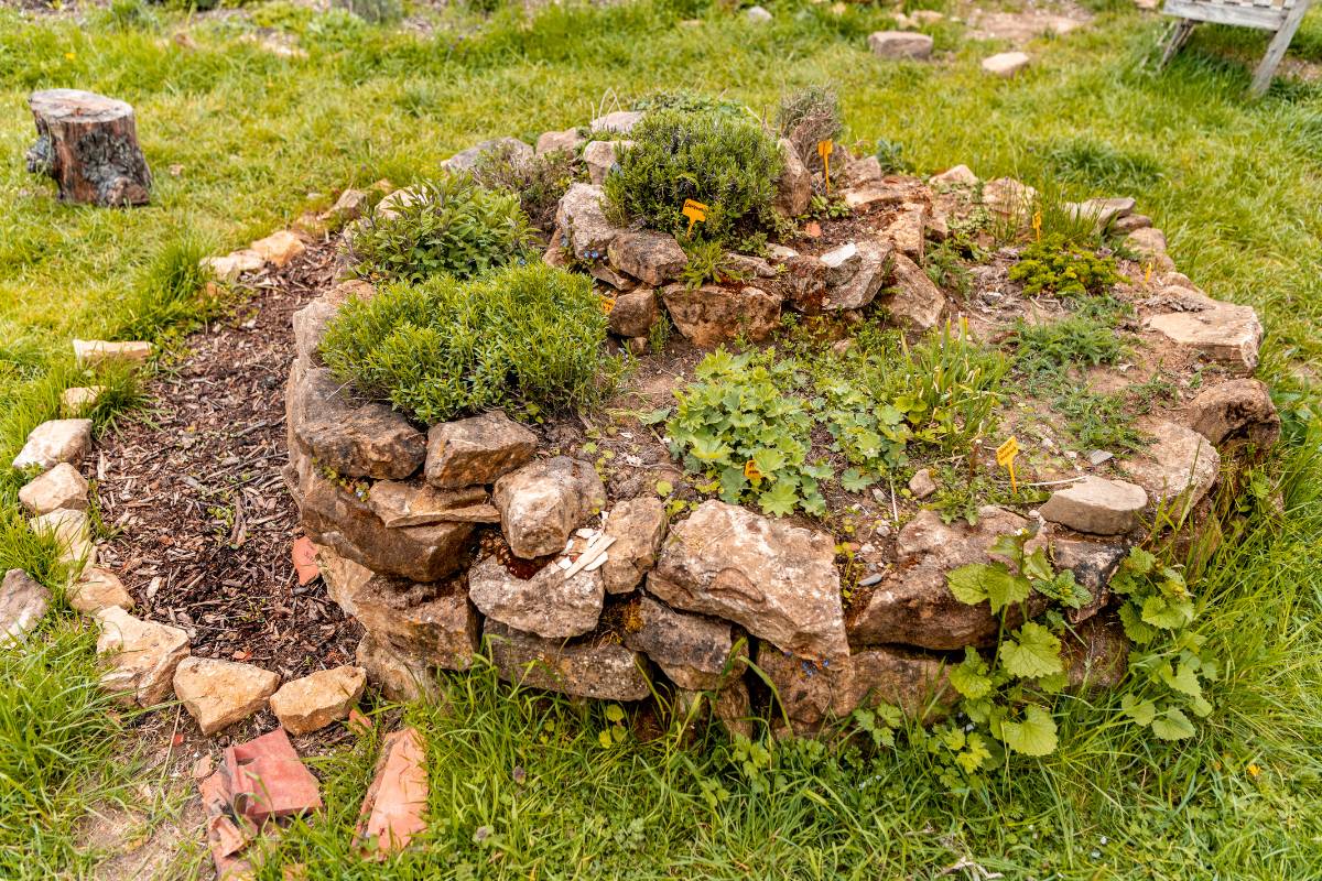 A completed herb spiral planted with a variety of herbs