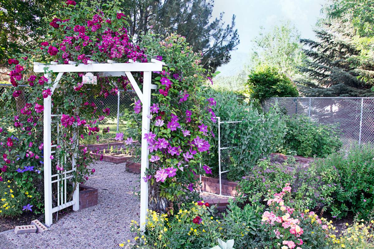 A garden arbor painted white with a winding path in a cottage garden