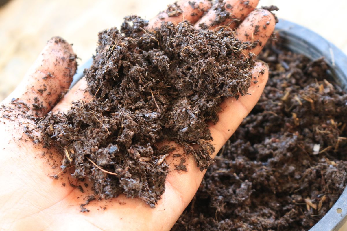 A handful of wet soil