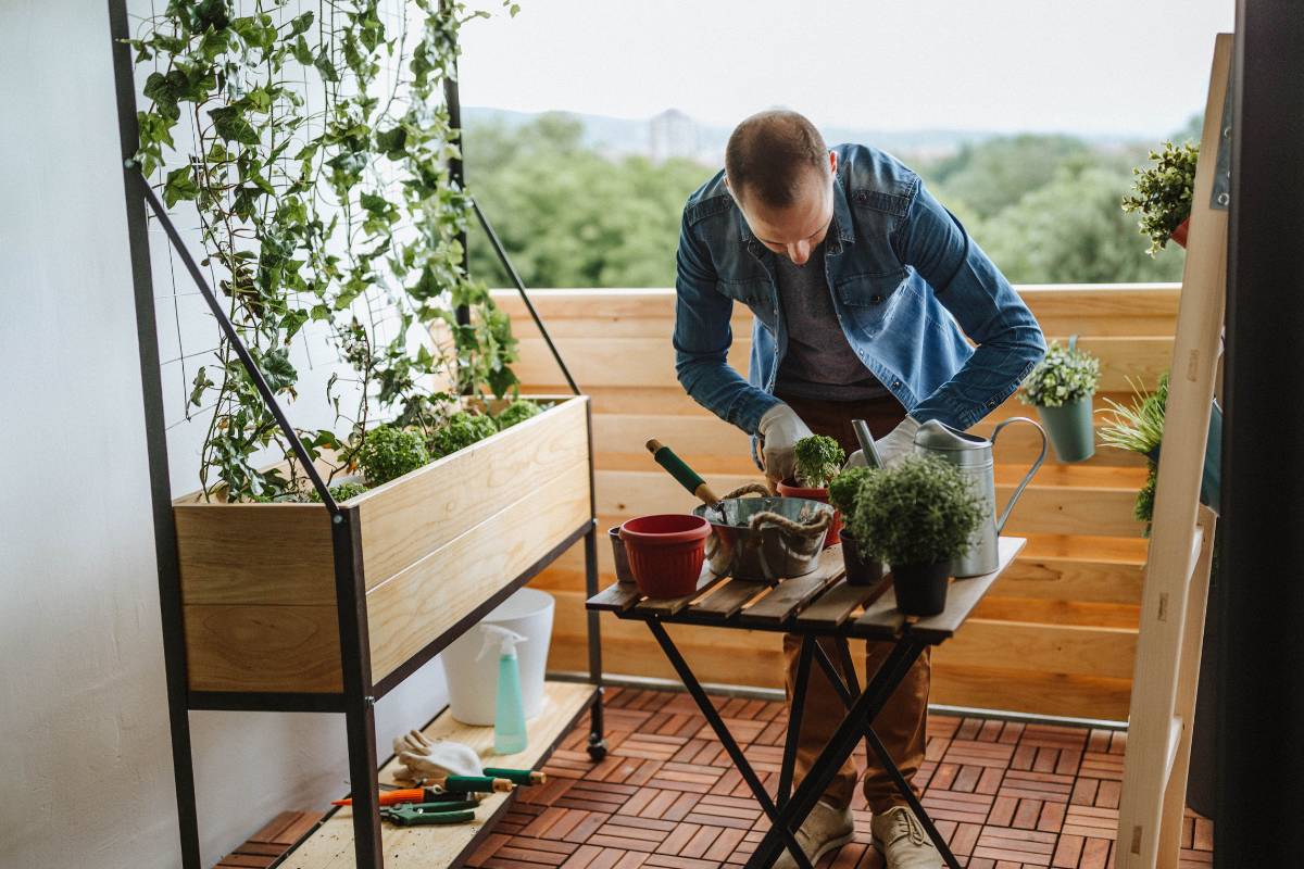 A man on a small balcony potting plants