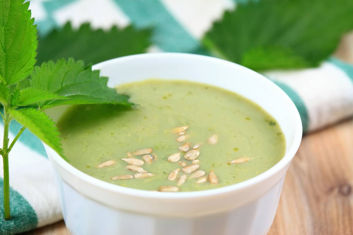 A photo of a ceramic bowl full of light green nettle soup