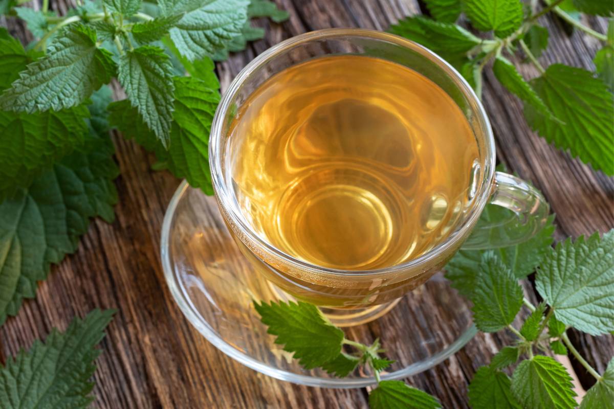 A photo of a glass teacup and saucer full of light-coloured nettle tea sitting on a chopping board