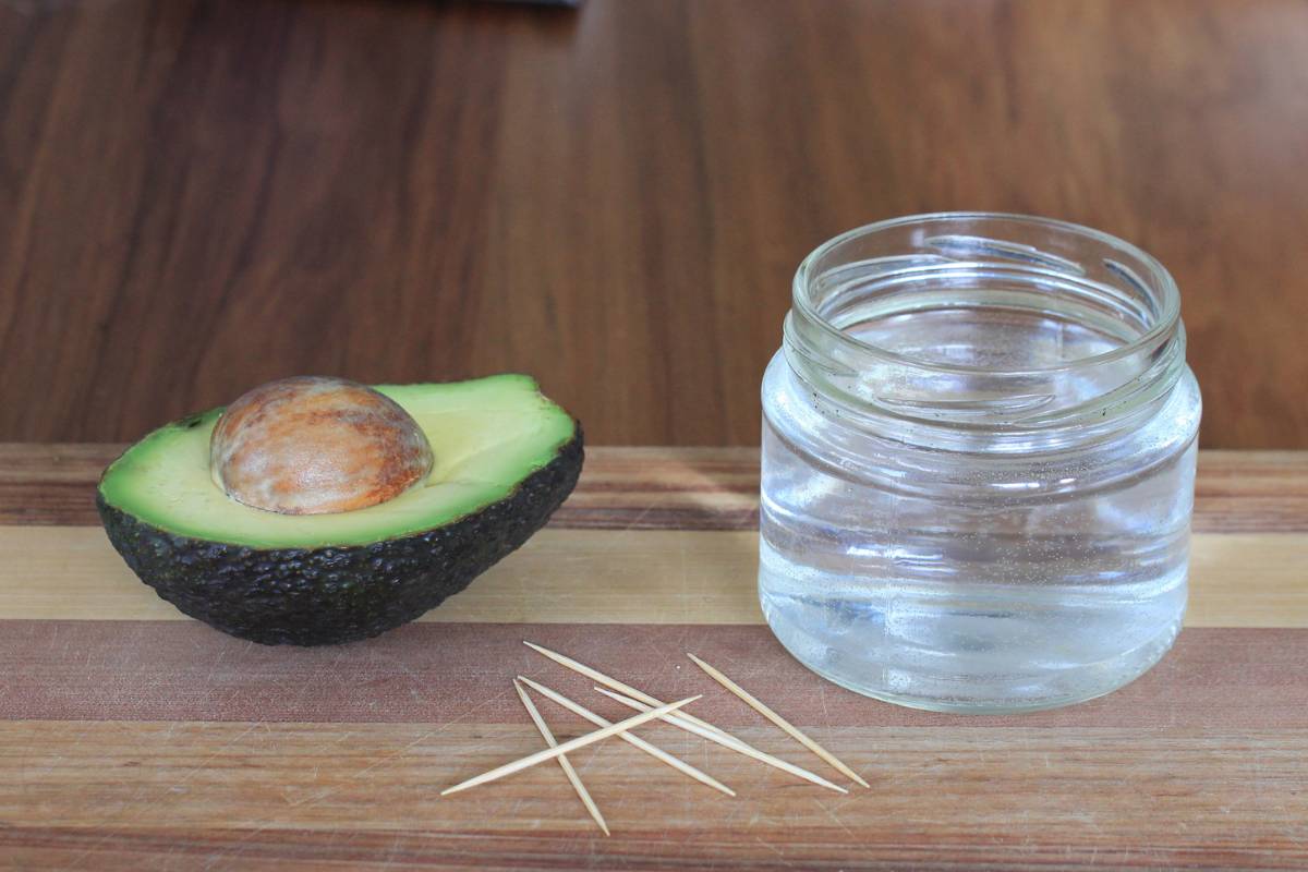 A photo of half an avocado with its seed intact, some toothpicks and a glass jar of water on a wooden chopping board