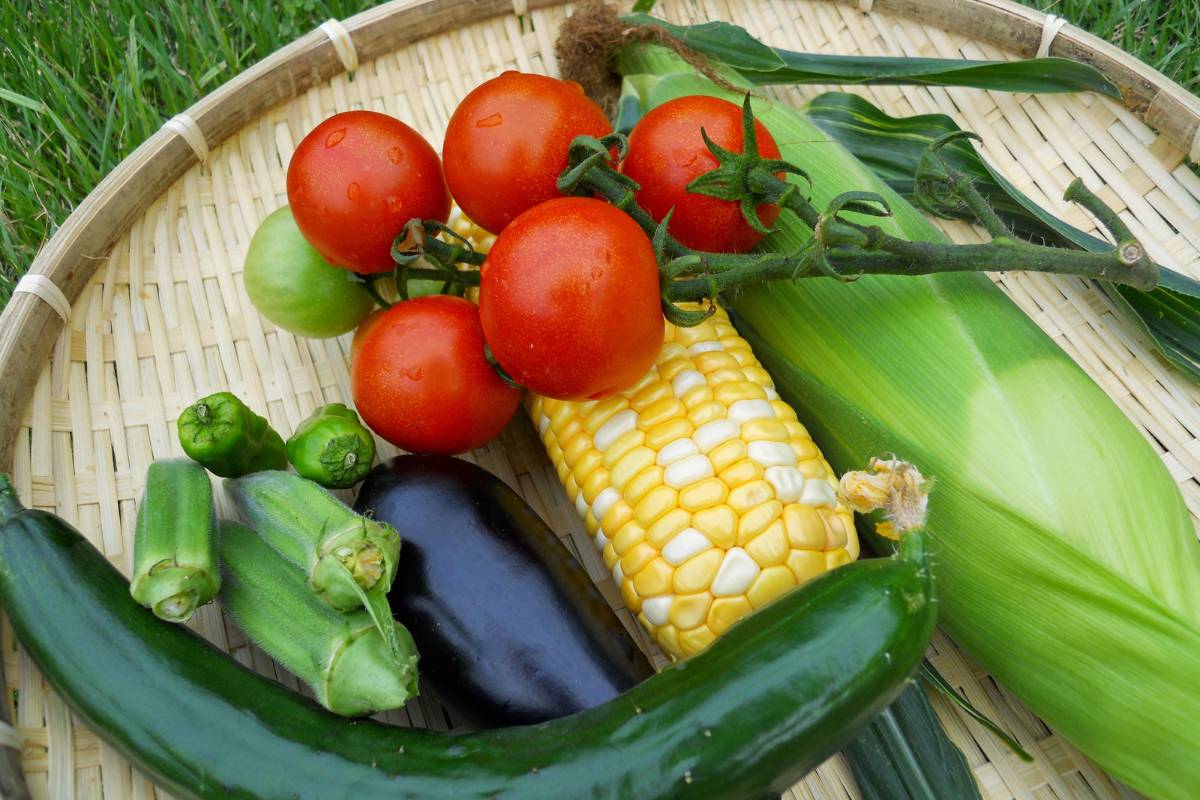 A platter of summer vegetables