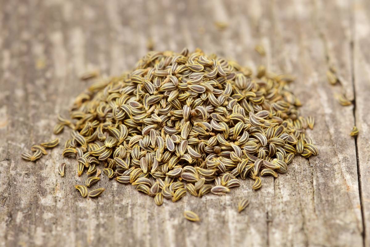 A small pile of parsley seeds sitting on a wooden board