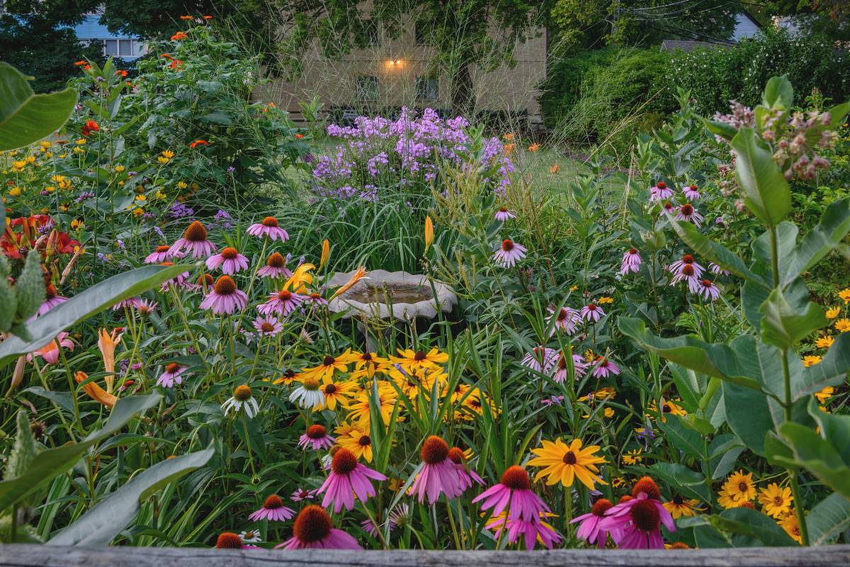 A stone bird bath amongst colourful cottage garden flowers