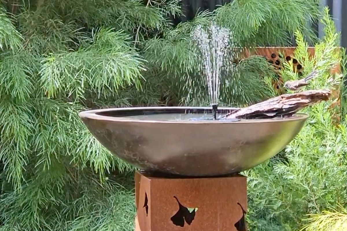 Bird bath with running water