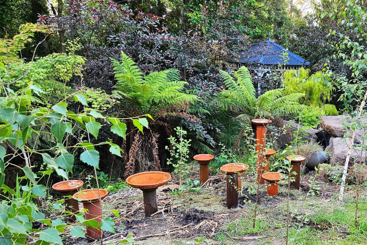 Multiple_bird_baths