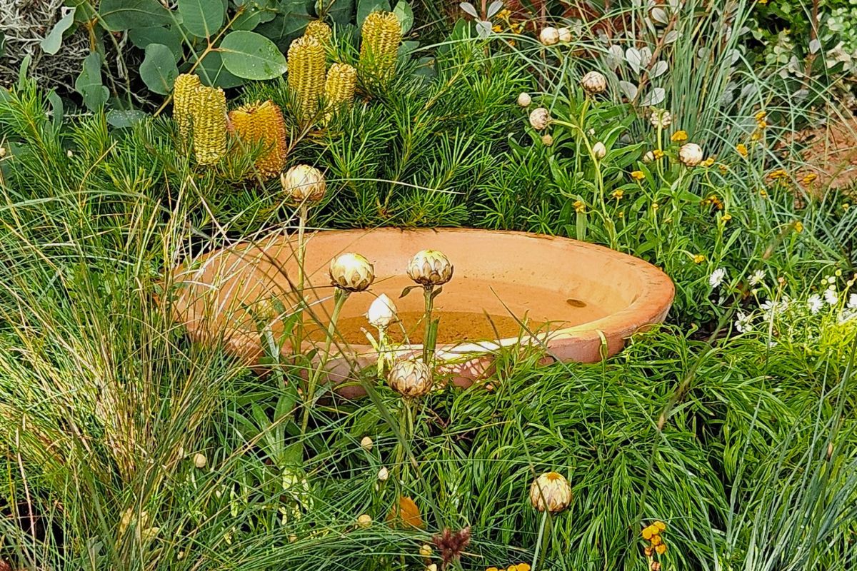 bird_bath_in_low_position
