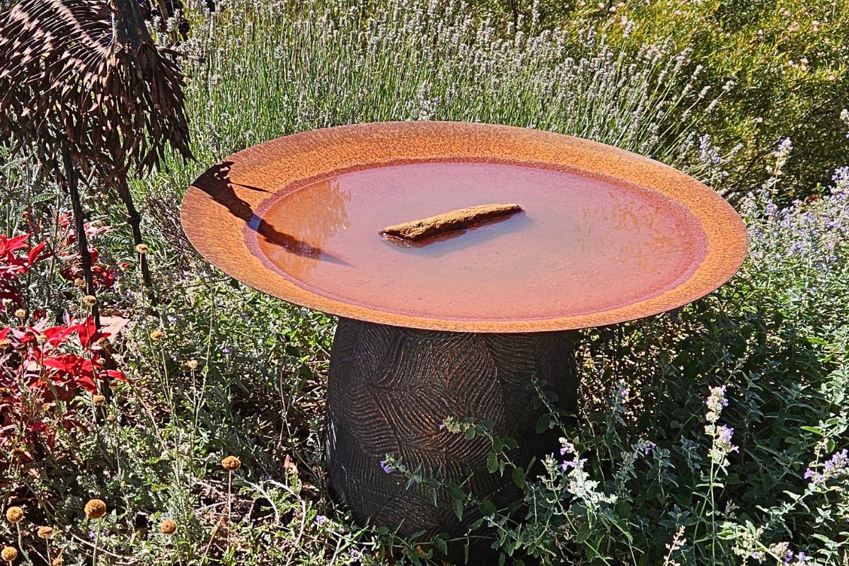 bird_bath_with_rock_perch