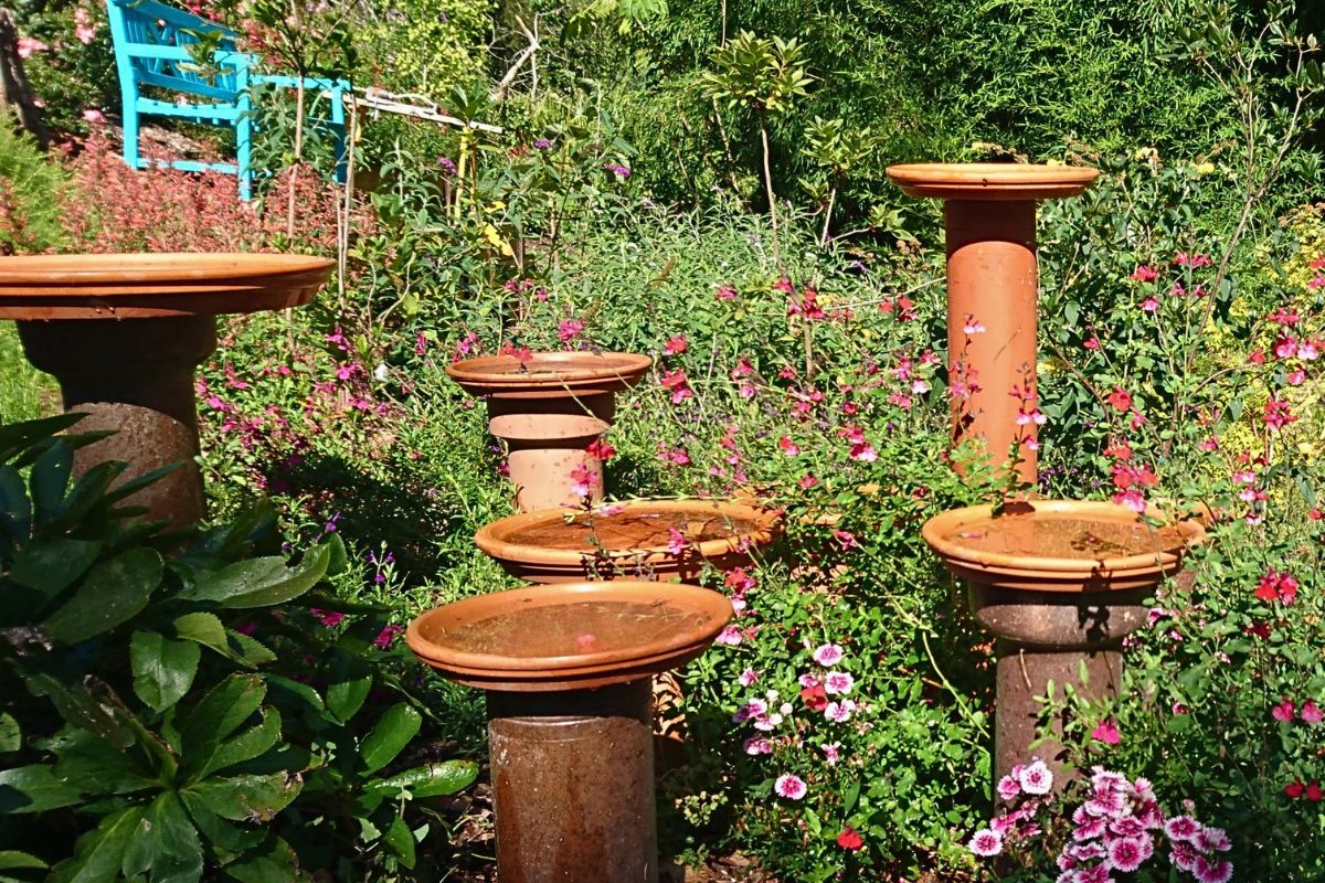 Ideal_positioning_of_bird_baths