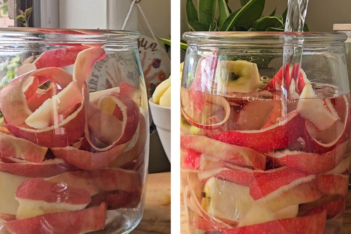 Apple Scrap Vinegar - Peels in Jar