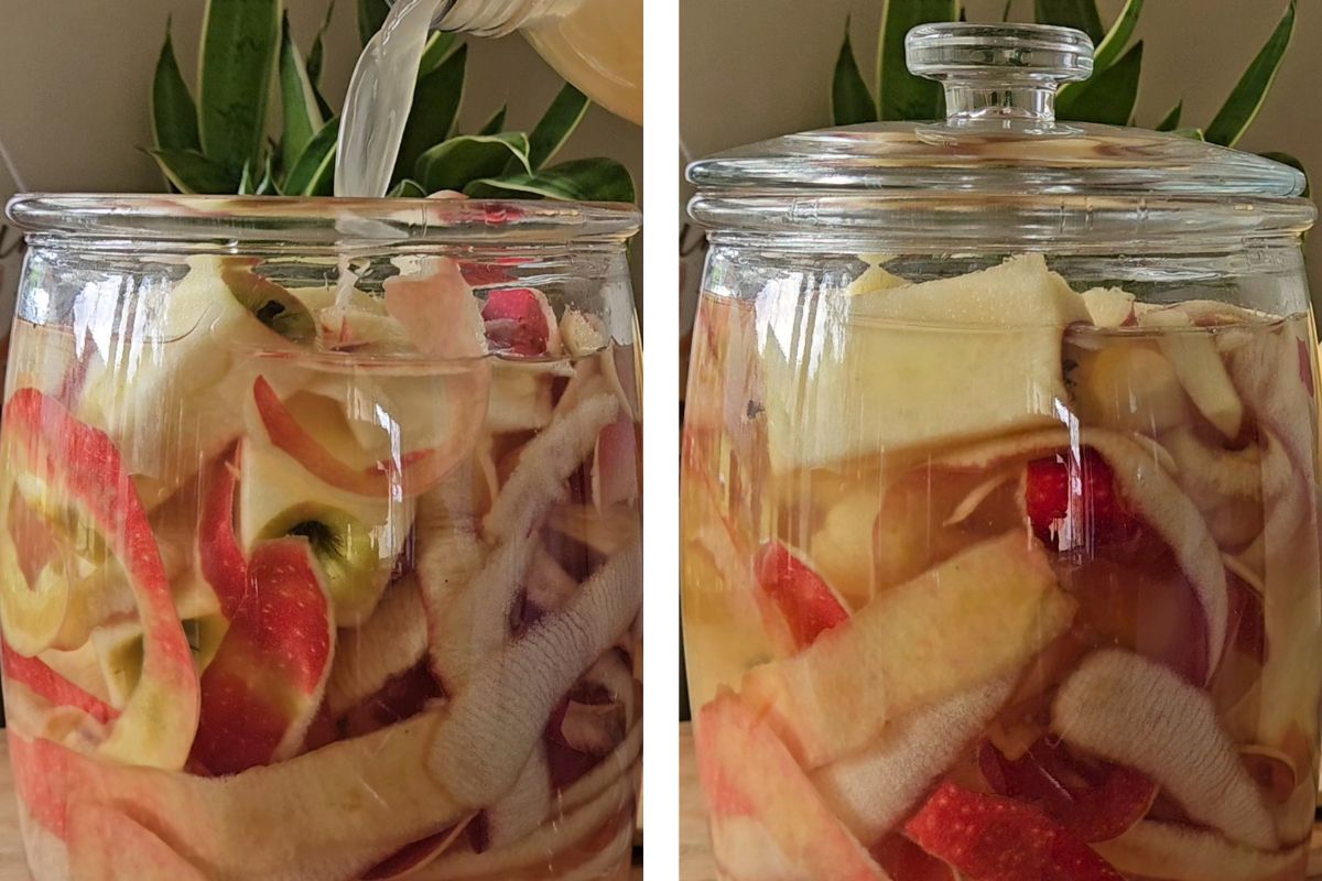 Apple Scrap Vinegar - Stir & Add Lid