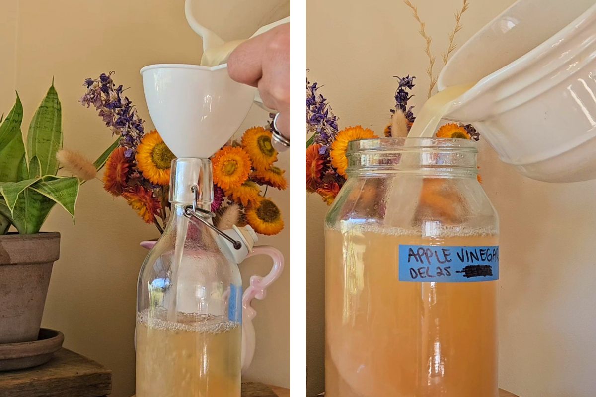 Apple Scrap Vinegar - Strain & Bottle