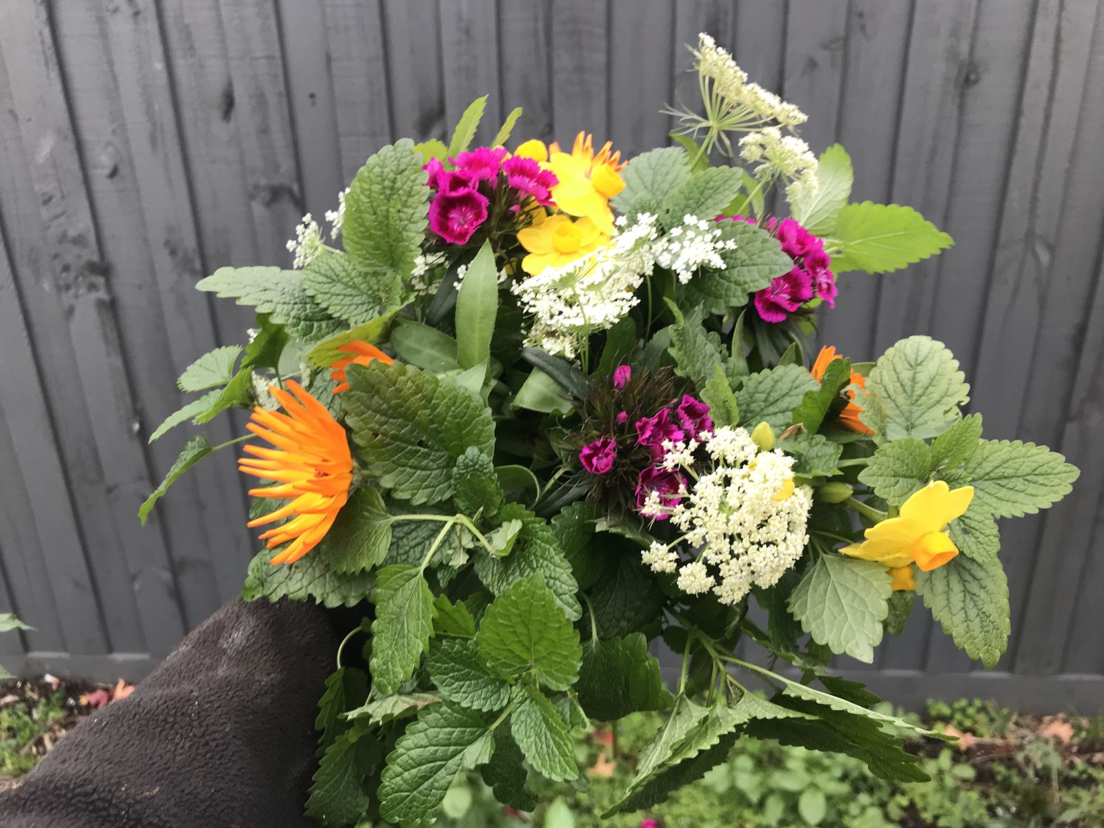 A bouquet with garden flowers and lemon balm