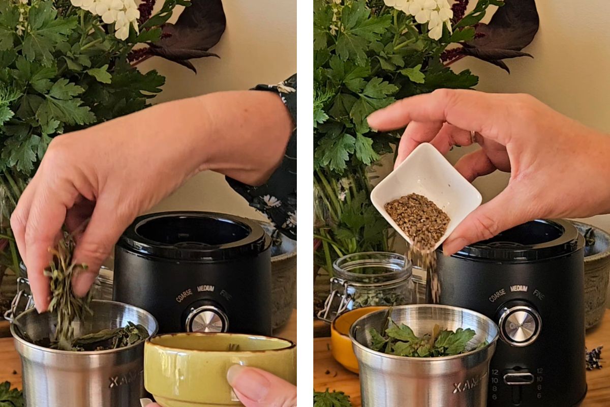 Adding ingredients for herbal salt to processor
