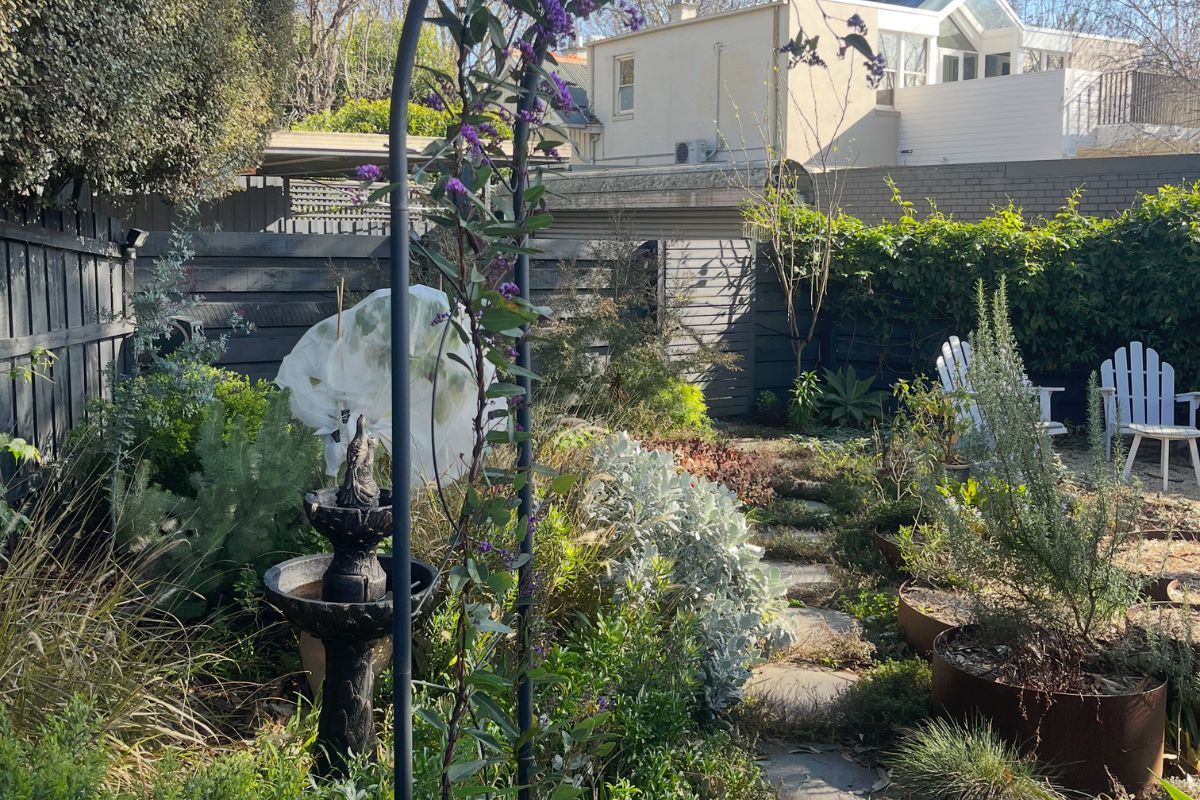 Alexs Courtyard Garden Inner Melbourne