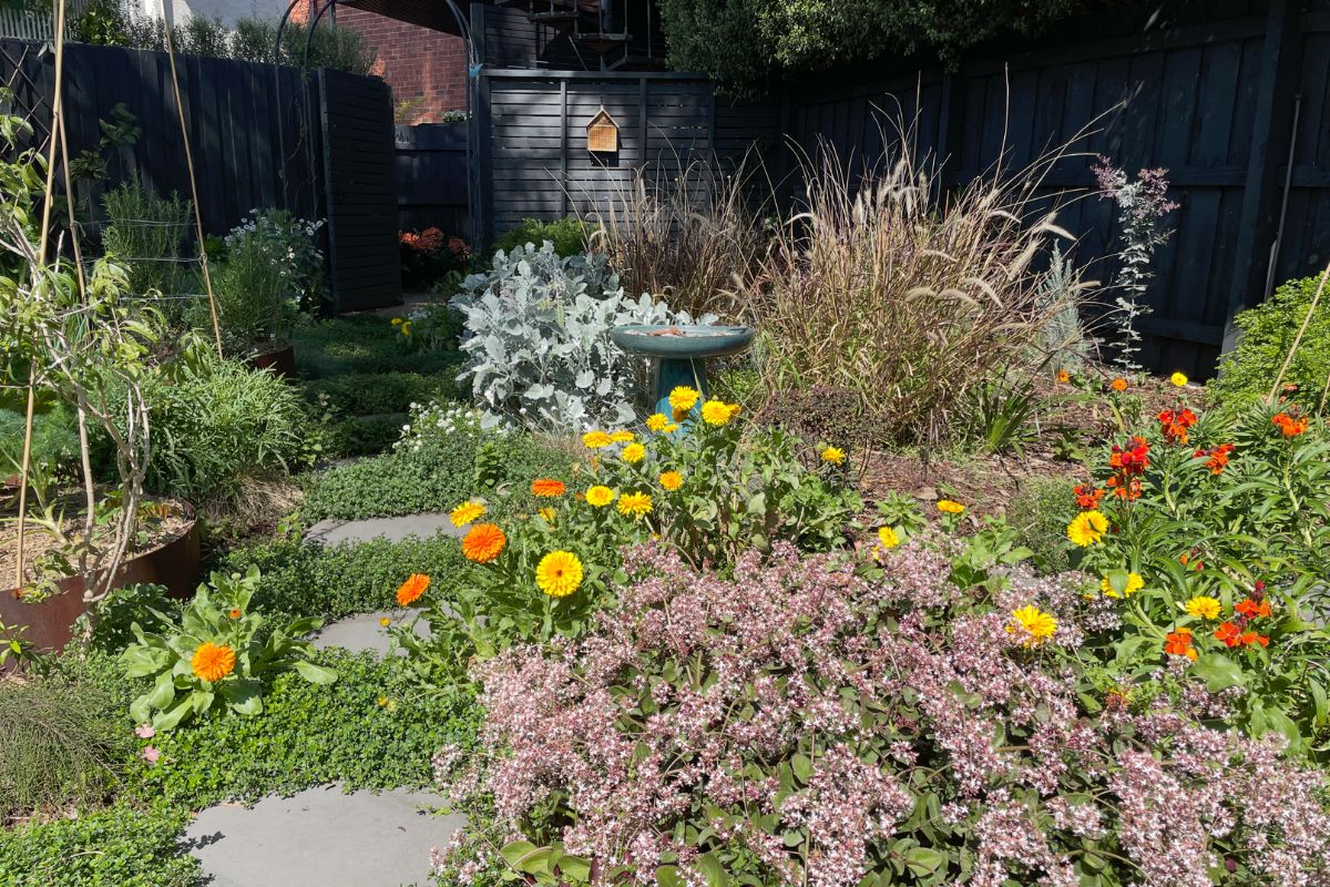 Alex Stotts Courtyard Garden Melbourne Trellis And herbs