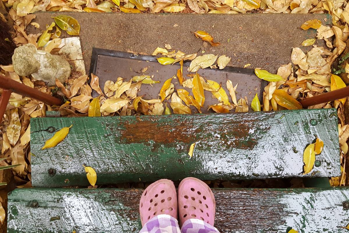 An aerial view of a child's feet in pink croc shoes, standing on an outside step surrounded by autumn leaves