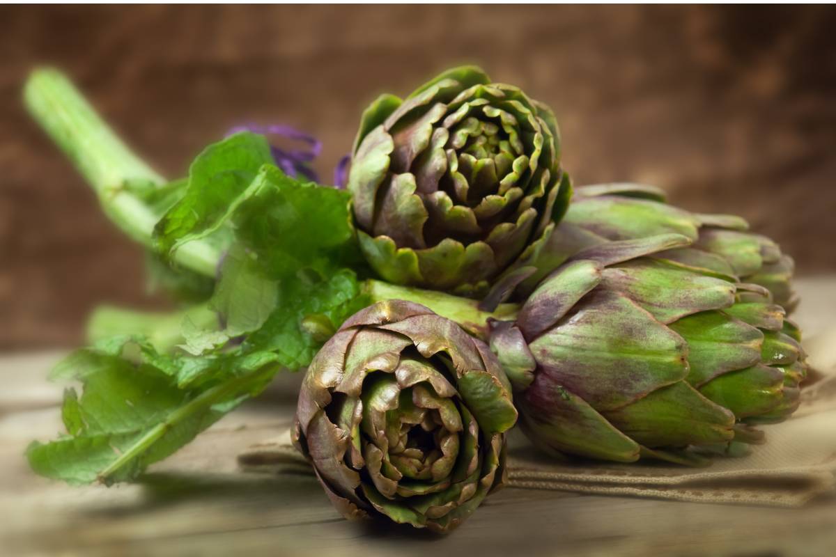 Artichoke buds used as a cut flower