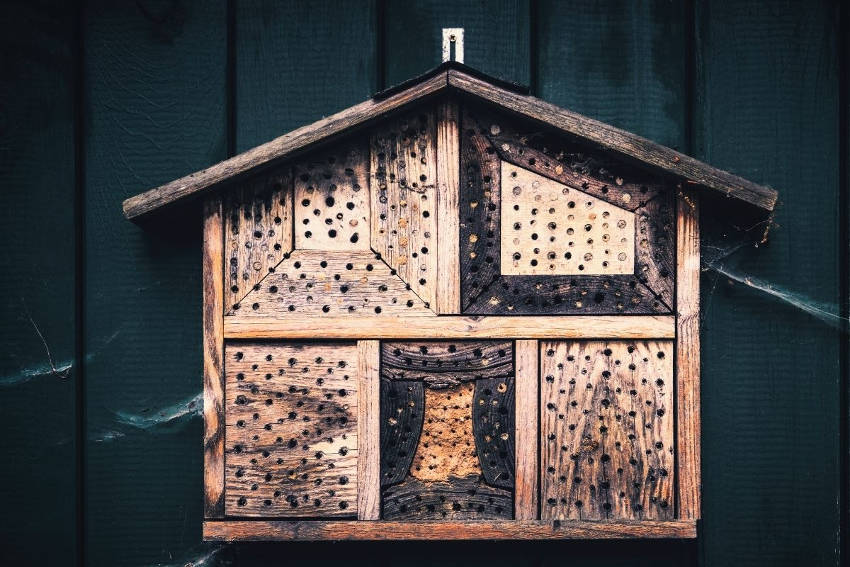 Bee hotel with overhanging roof