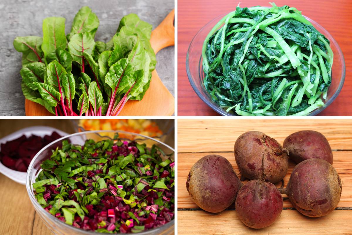 Beetroot and radish leaves and beetroot bulbs